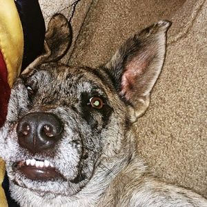 Meet your Posher, Natalie